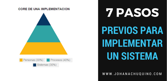 7 IN Previos a la Implementación de un Sistema