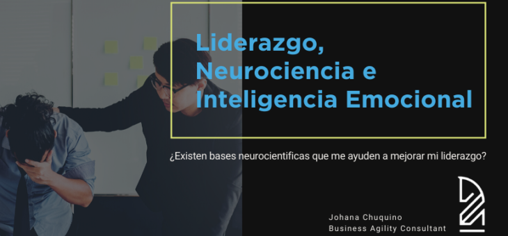 Liderazgo, Neurociencia e Inteligencia Emocional: ¿Cómo se relacionan?